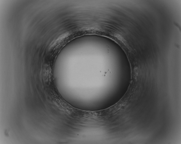 X0000103471111200809121622