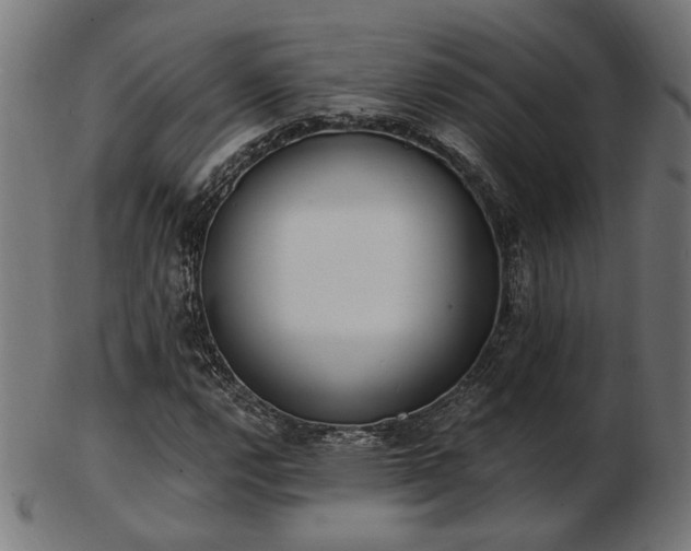 X0000103471112200809121622