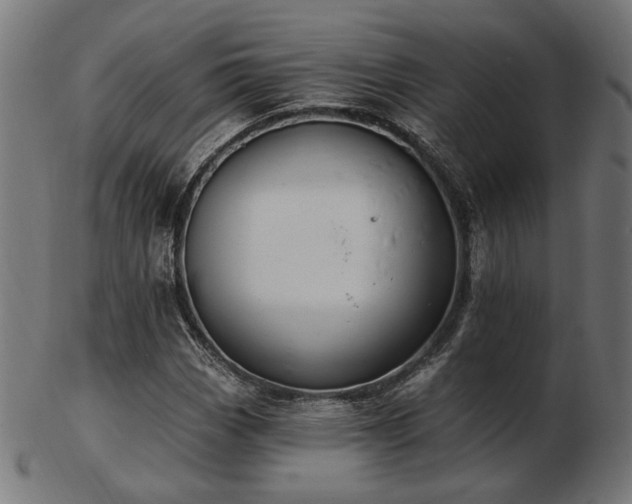 X0000103471113200809121622