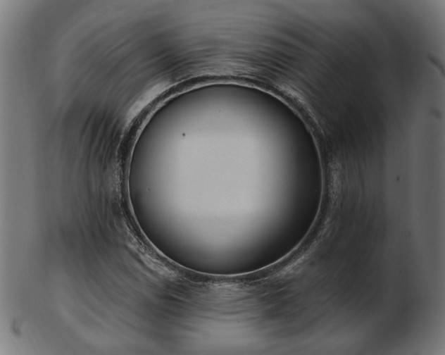 X0000103471114200809121622