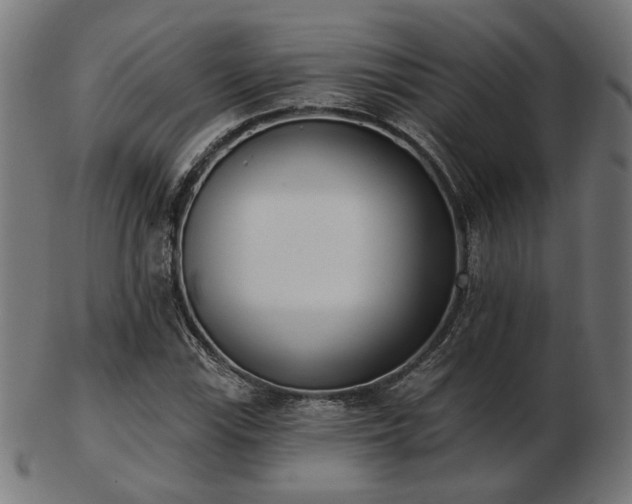 X0000103471115200809121622