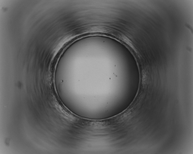 X0000103471116200809121622