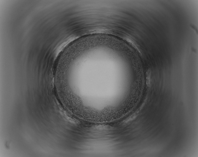 X0000103471117200809121622