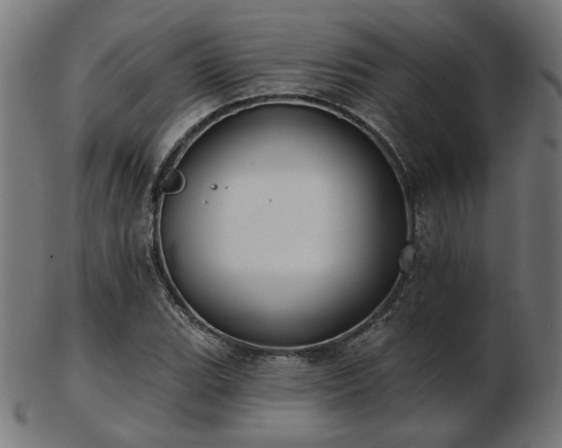 X0000103471119200809121622