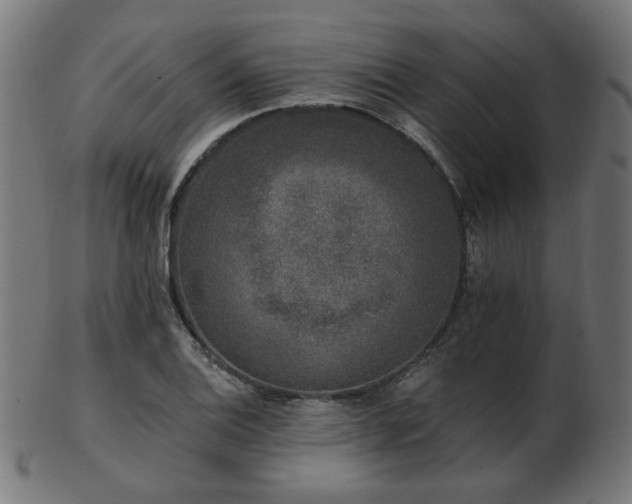 X0000103471124200809121622