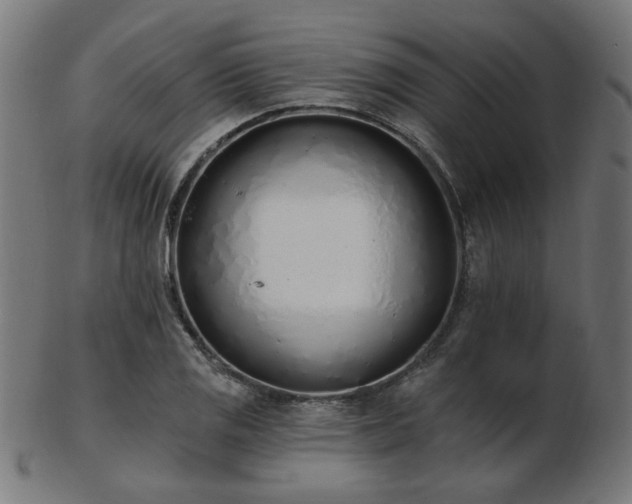 X0000103471125200809121622