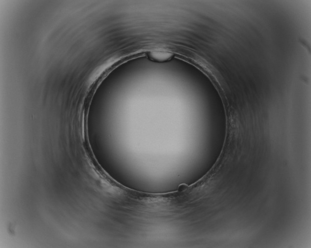 X0000103471127200809121622