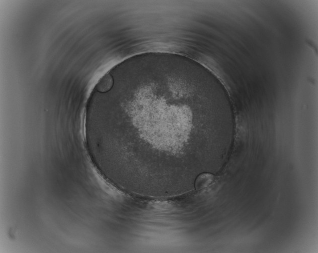 X0000103471128200809121622