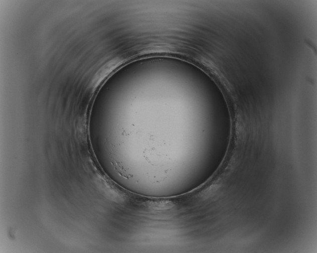 X0000103471129200809121622