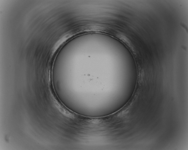 X0000103471130200809121622