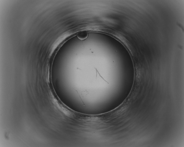 X0000103471131200809121622