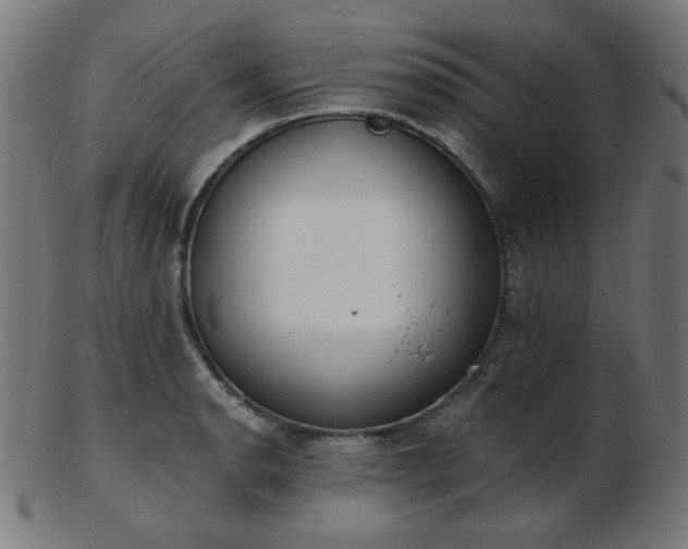 X0000103471134200809121622