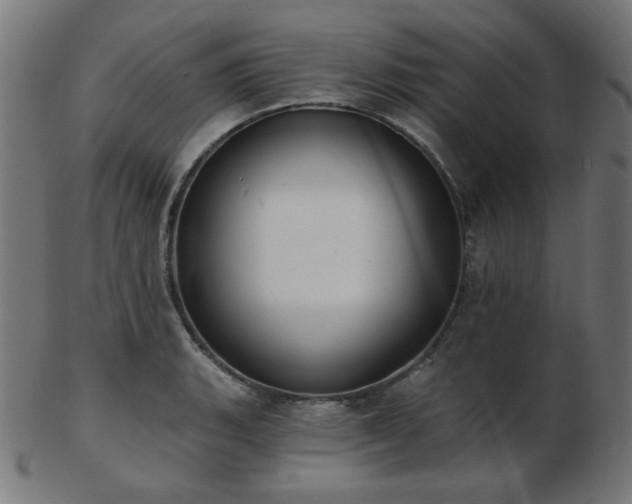 X0000103471135200809121622