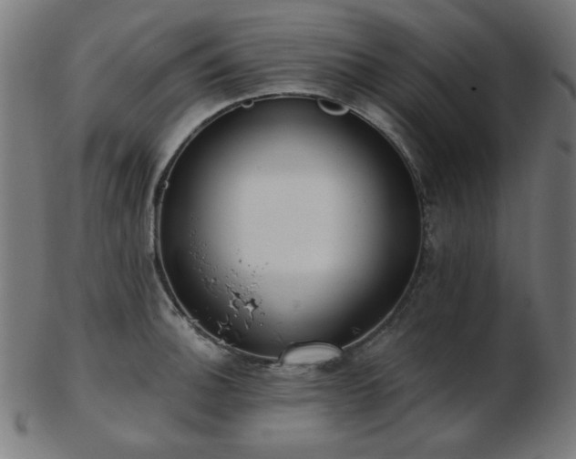 X0000103471140200809121622