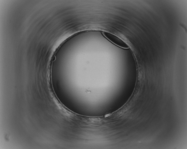 X0000103471144200809121622