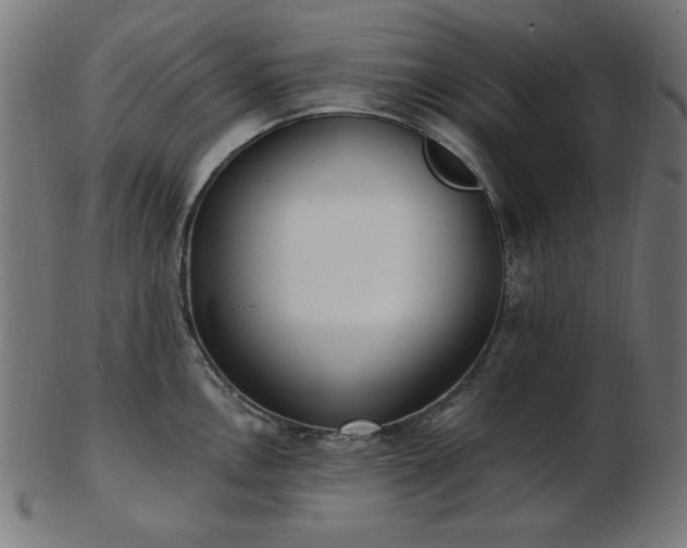 X0000103471146200809121622