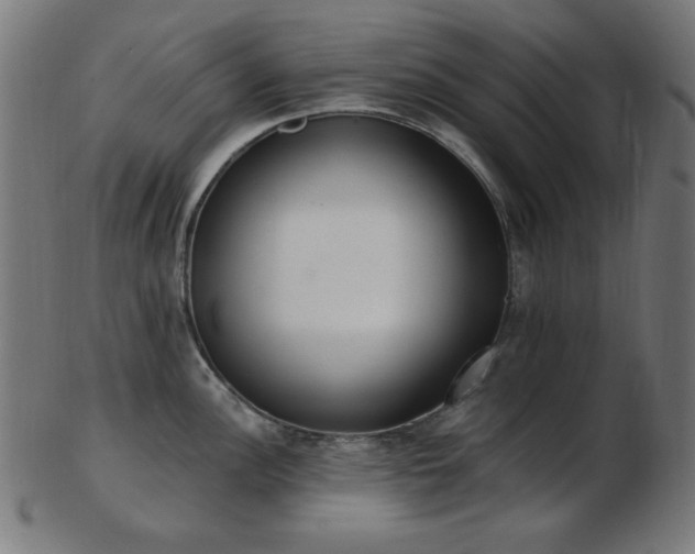 X0000103471148200809121622