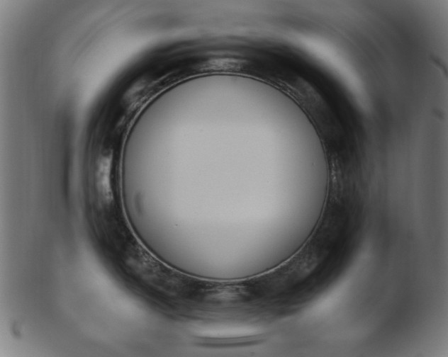 X0000103471150200809121622