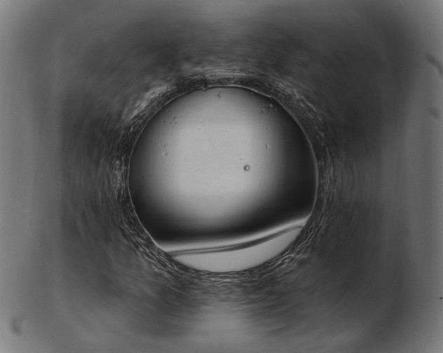 X0000103471157200809121622