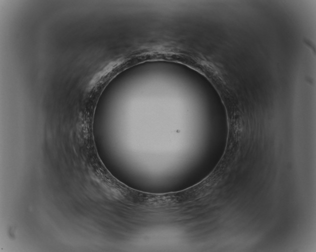 X0000103471159200809121621