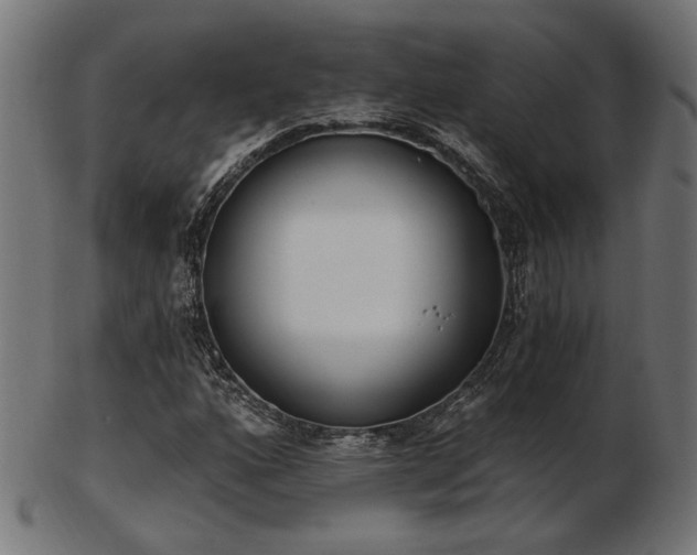 X0000103471160200809121621