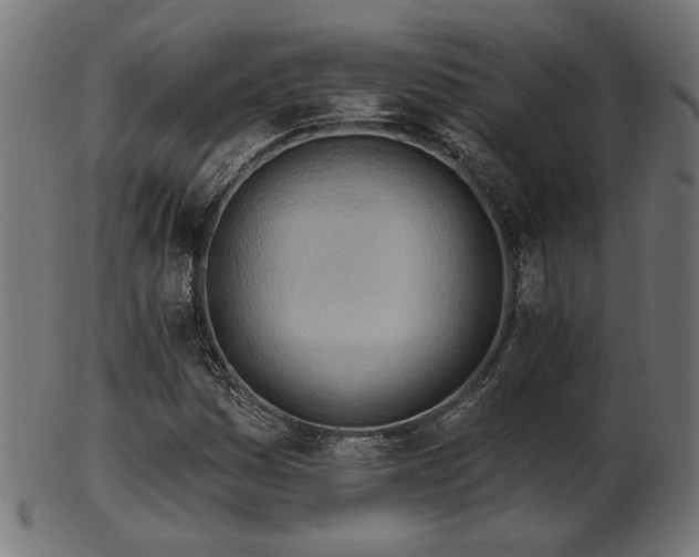 X0000103471161200809121621