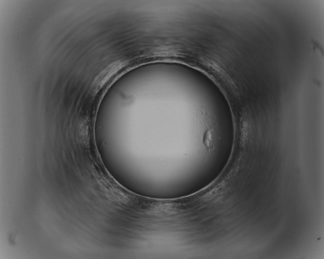 X0000103471162200809121621