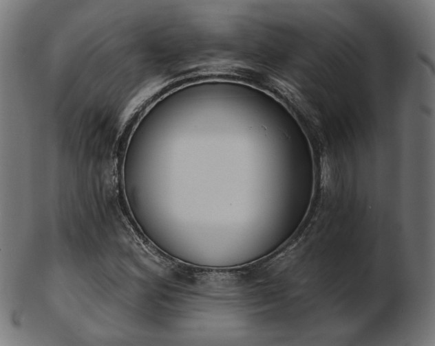 X0000103471164200809121621