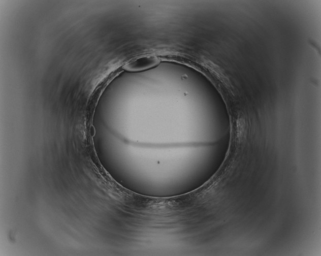 X0000103471165200809121621