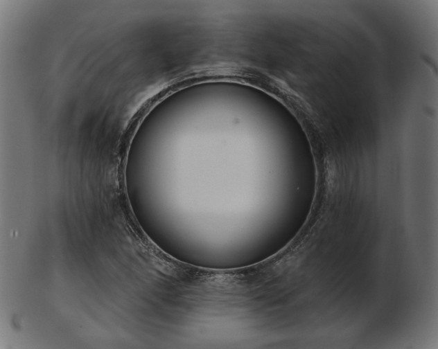 X0000103471166200809121621