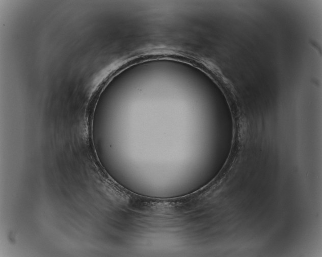 X0000103471167200809121621