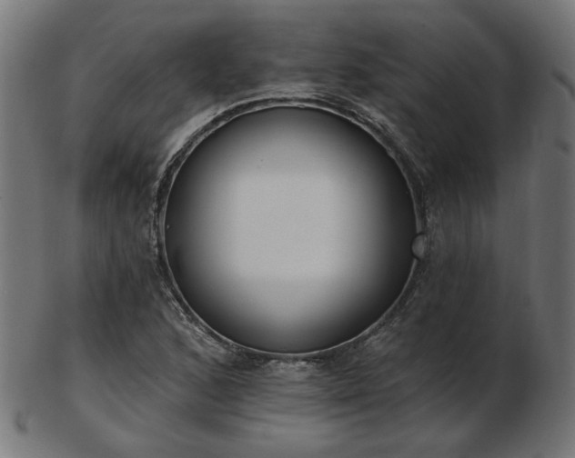 X0000103471168200809121621