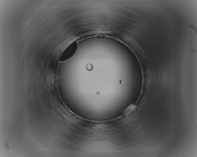 X0000103471169200809121621