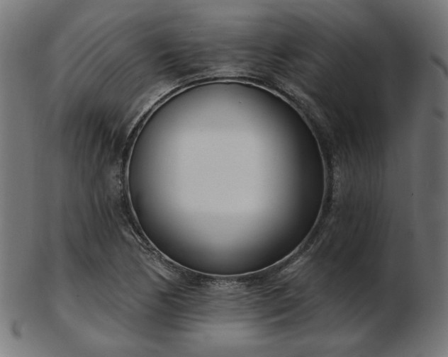 X0000103471170200809121621