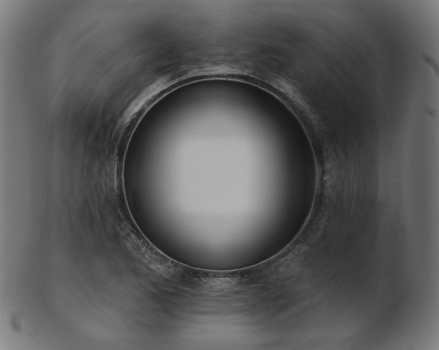 X0000103471173200809121621