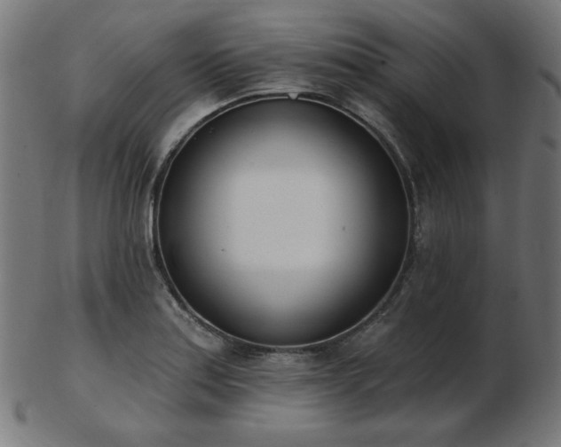 X0000103471179200809121621