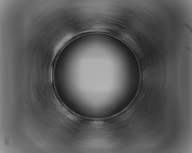 X0000103471180200809121621