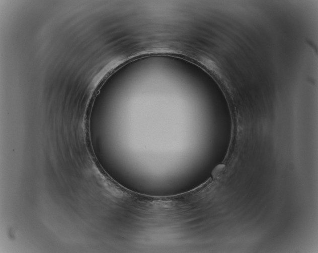 X0000103471181200809121621