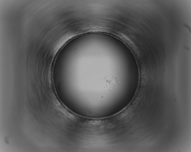 X0000103471182200809121621