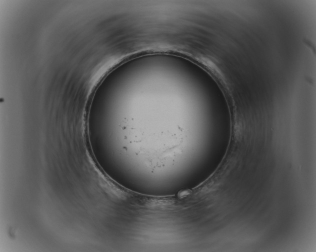 X0000103471183200809121621