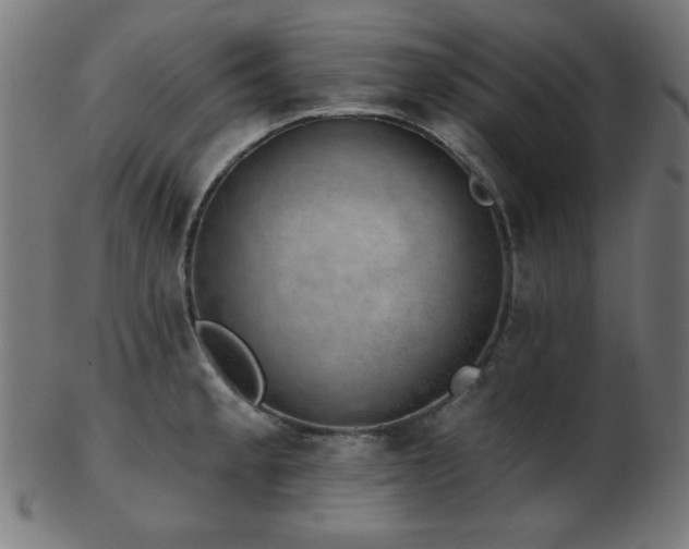 X0000103471189200809121621