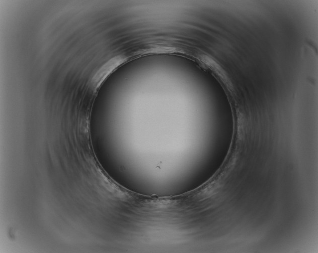 X0000103471193200809121621