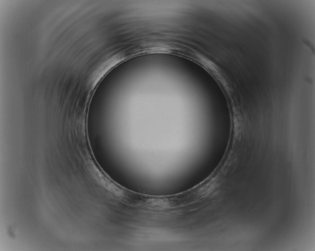 X0000103471194200809121621