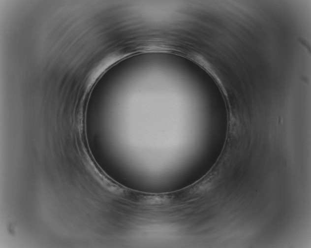 X0000103471195200809121621