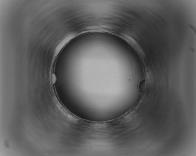 X0000103471196200809121621