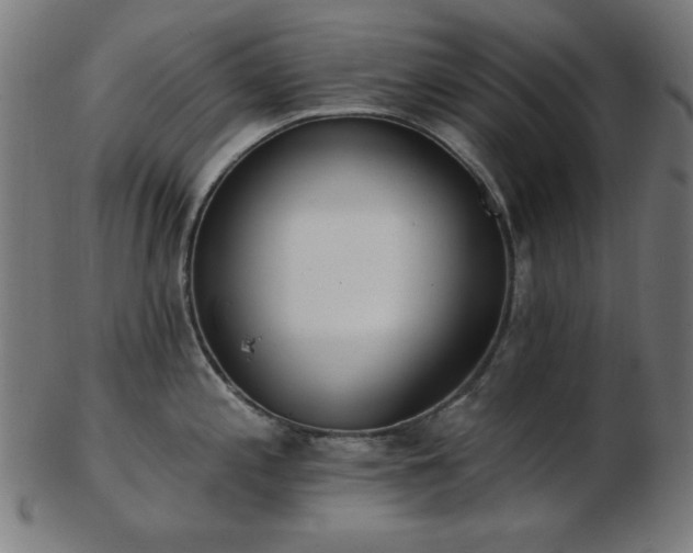 X0000103471197200809121621