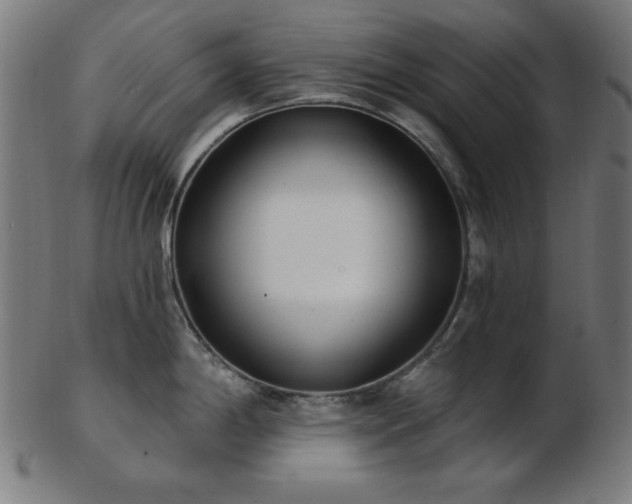 X0000103471198200809121621