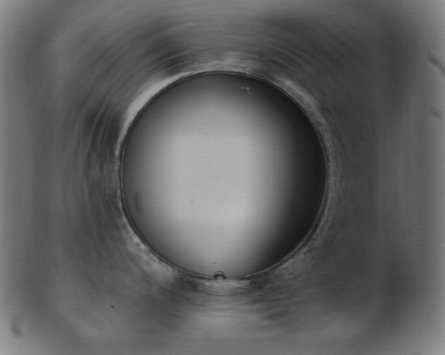 X0000103471200200809121621