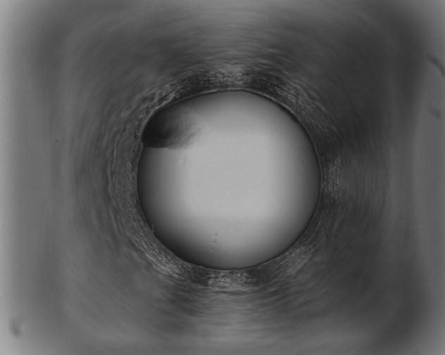 X0000103471201200809121620