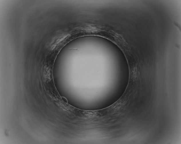 X0000103471205200809121620